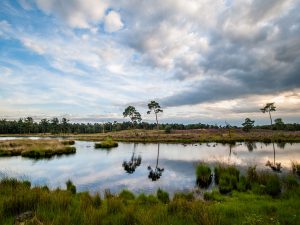 Mini camping Hatertse Vennen