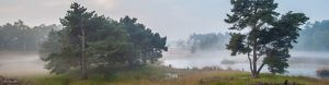 Omgeving Wijchen Nijmegen