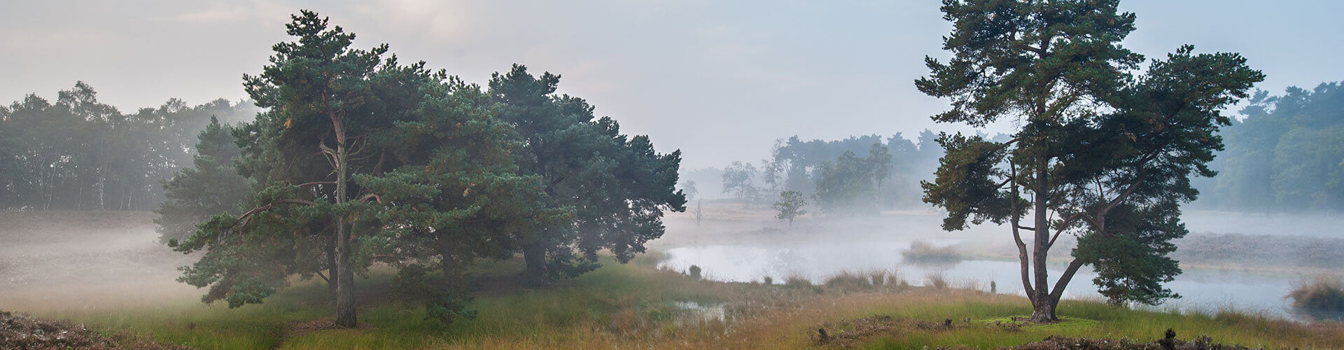 Groepsaccommodatie Bij De Linden Omgeving Nijmegen En Wijchen Bij